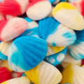 Coquillages Lisses Dulceplus
