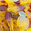 DeBron Pommes Poires SANS SUCRE